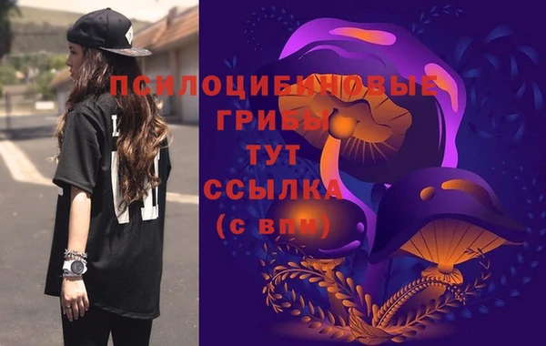 ешки Балахна