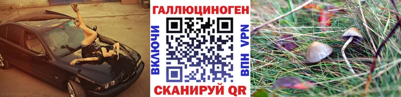 Псилоцибиновые грибы Magic Shrooms  блэк спрут онион  Чкаловск 